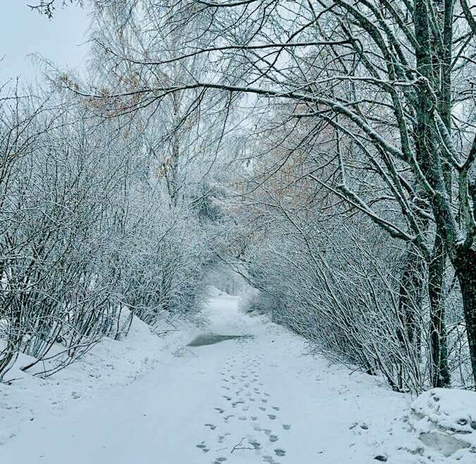 A snowy path with footprints in the snow